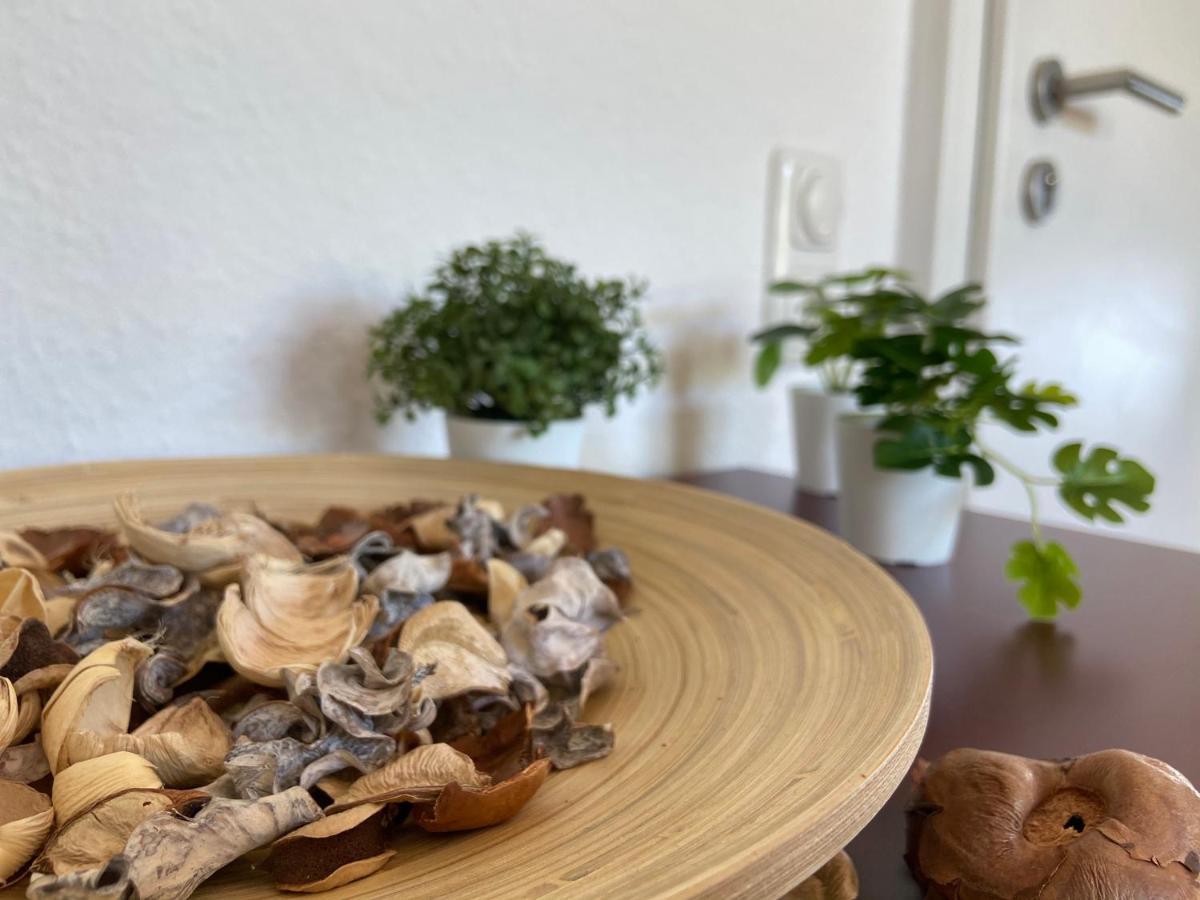 Urban Jungle Apartment In Kassel + Netflix Εξωτερικό φωτογραφία